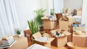 Packers and Movers Lingampally Hyderabad