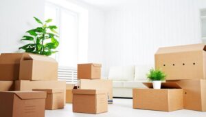 Packers and Movers Falaknuma Hyderabad