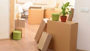 Packers and Movers Hafeezpet Hyderabad
