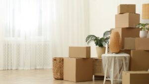 Packers and Movers Hitech City Hyderabad