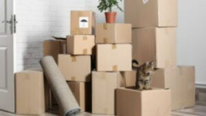 Packers and Movers Somajiguda Hyderabad