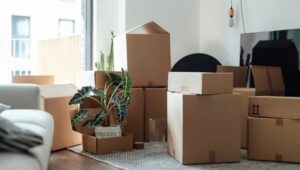 Packers and Movers Jubilee Hills Hyderabad